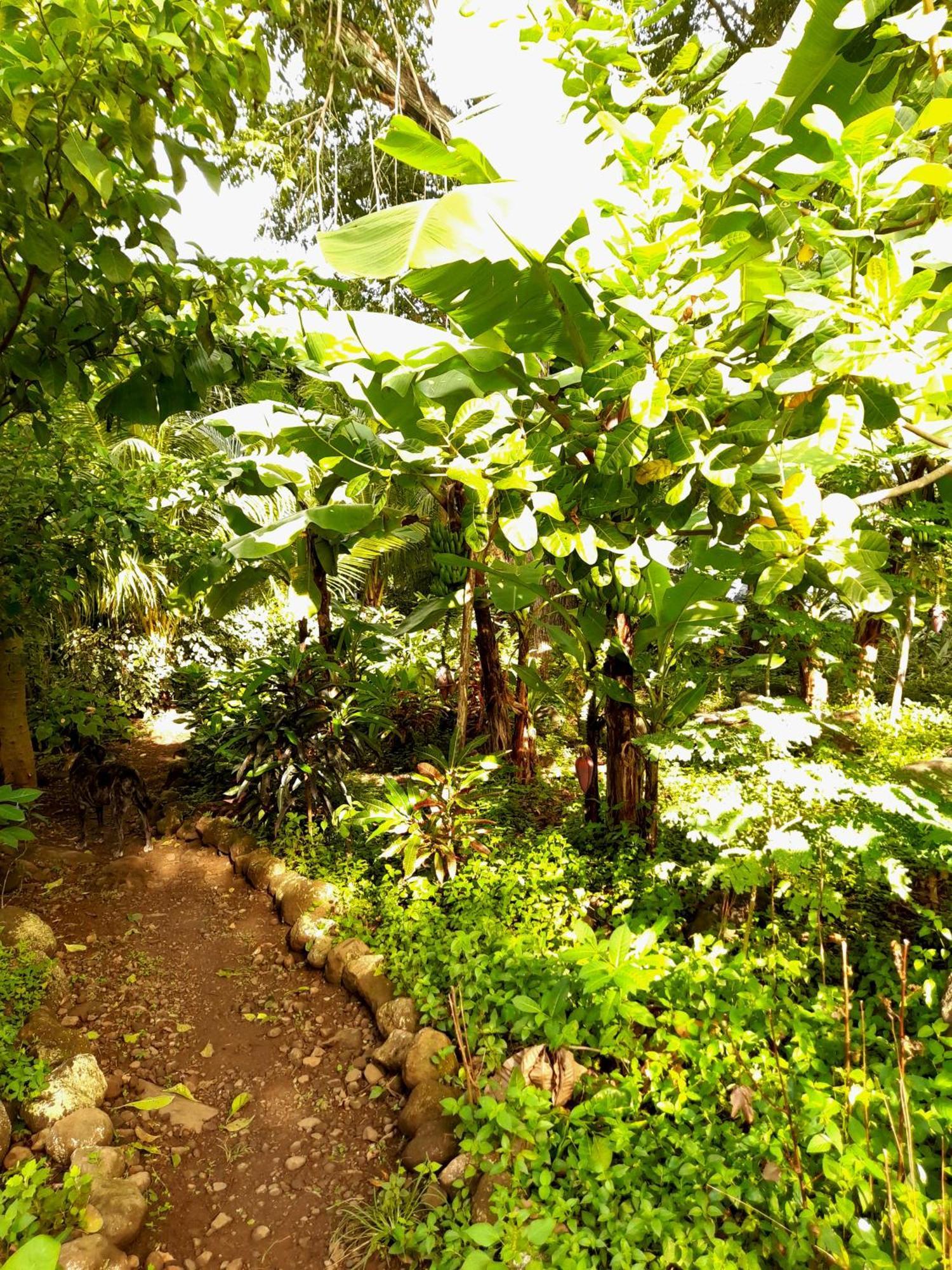 El Bamboo Cabins Balgue ภายนอก รูปภาพ