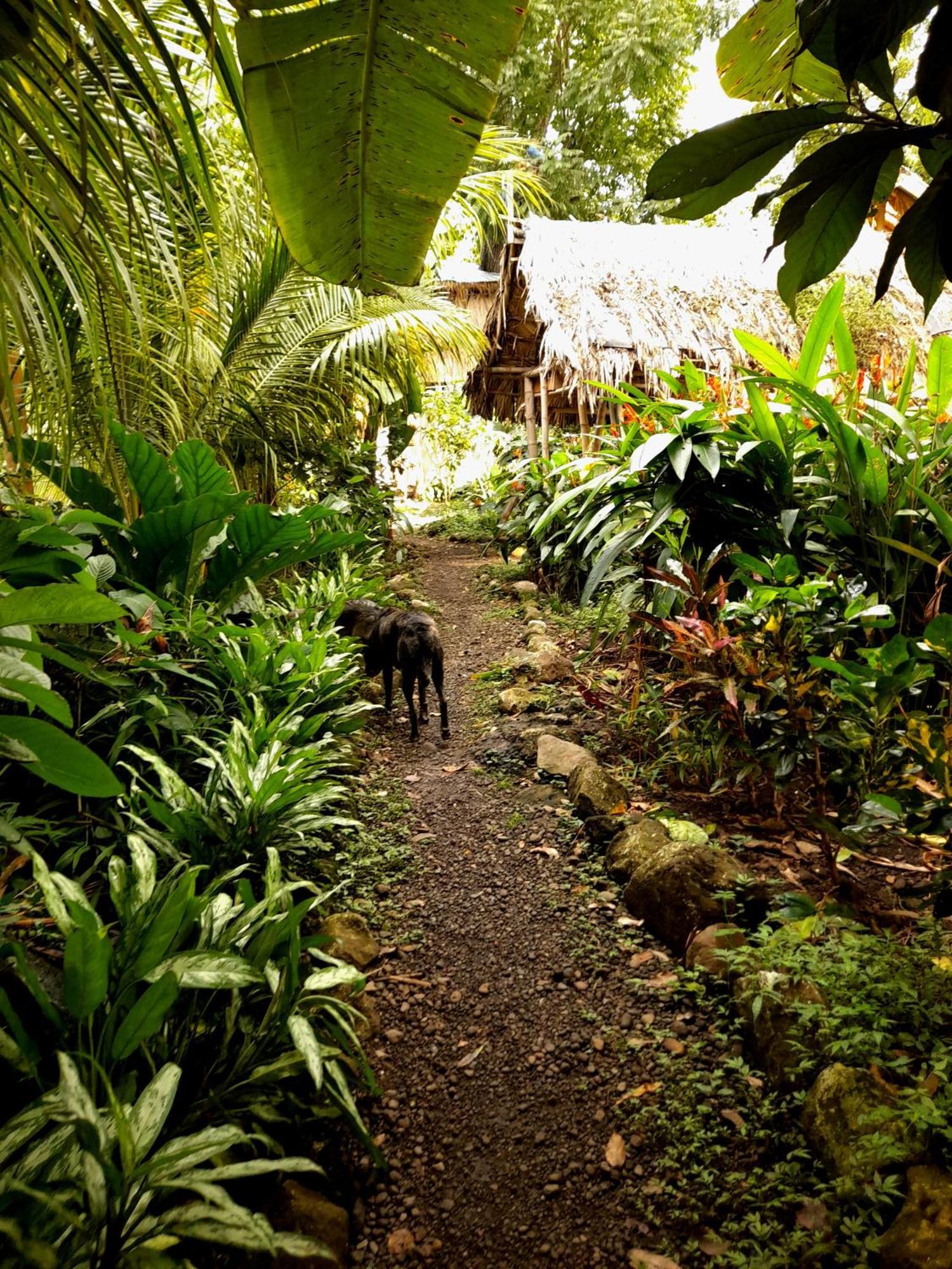 El Bamboo Cabins Balgue ภายนอก รูปภาพ